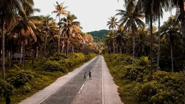 Coconut road