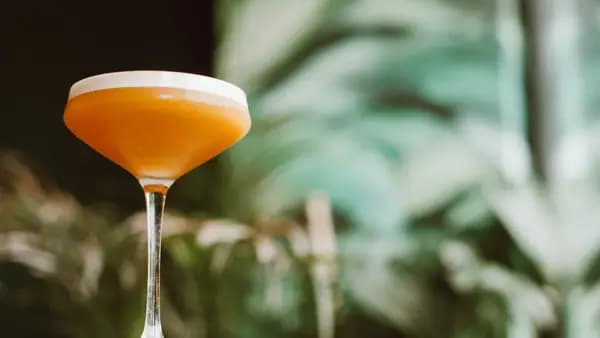COcktail 2