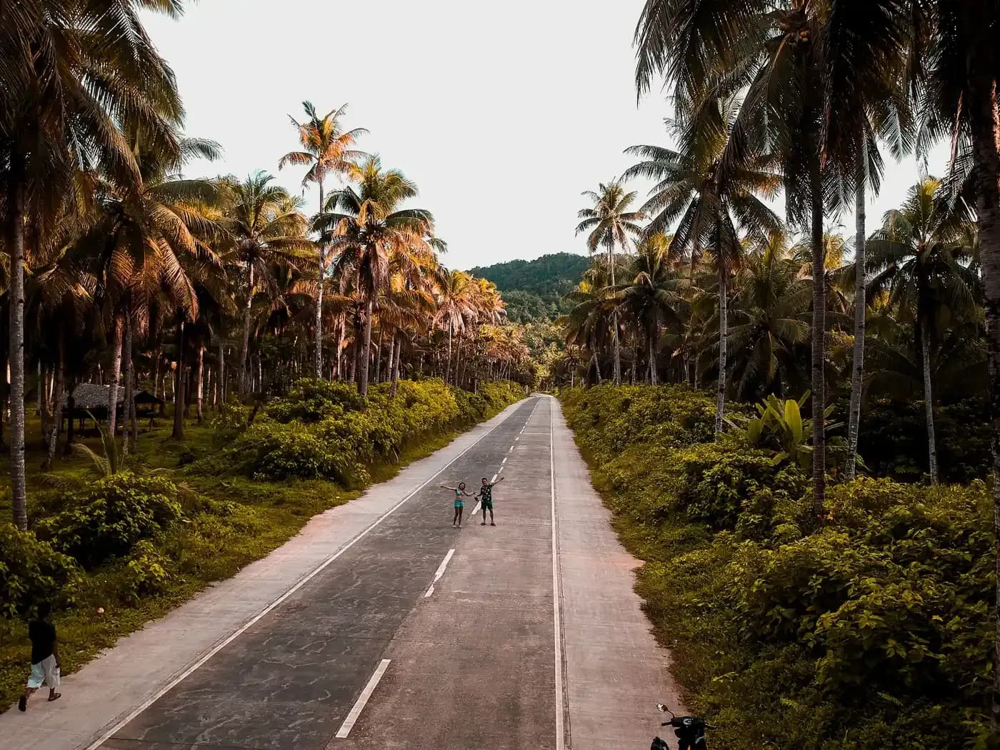Coconut road