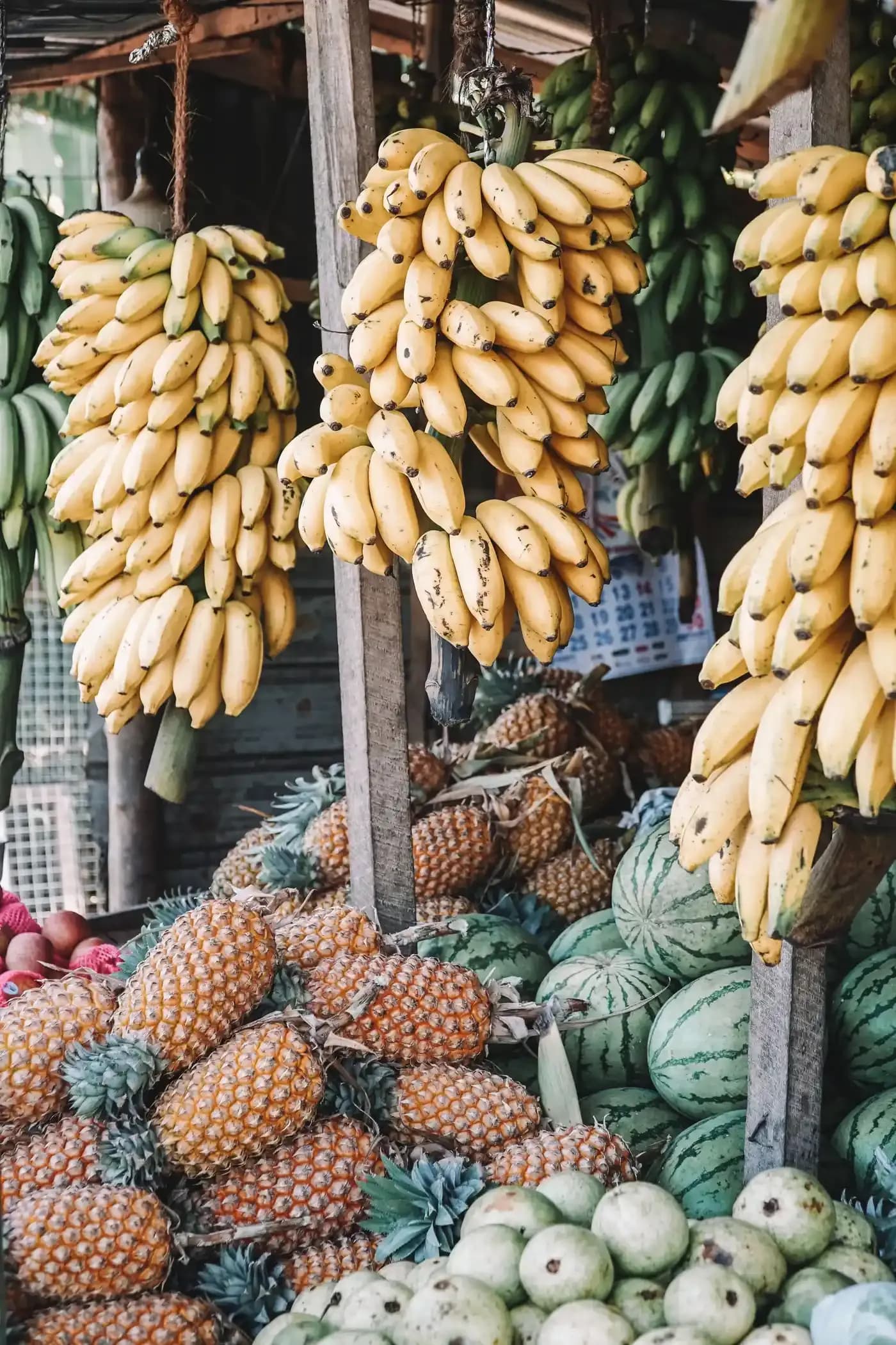 Fruit stand