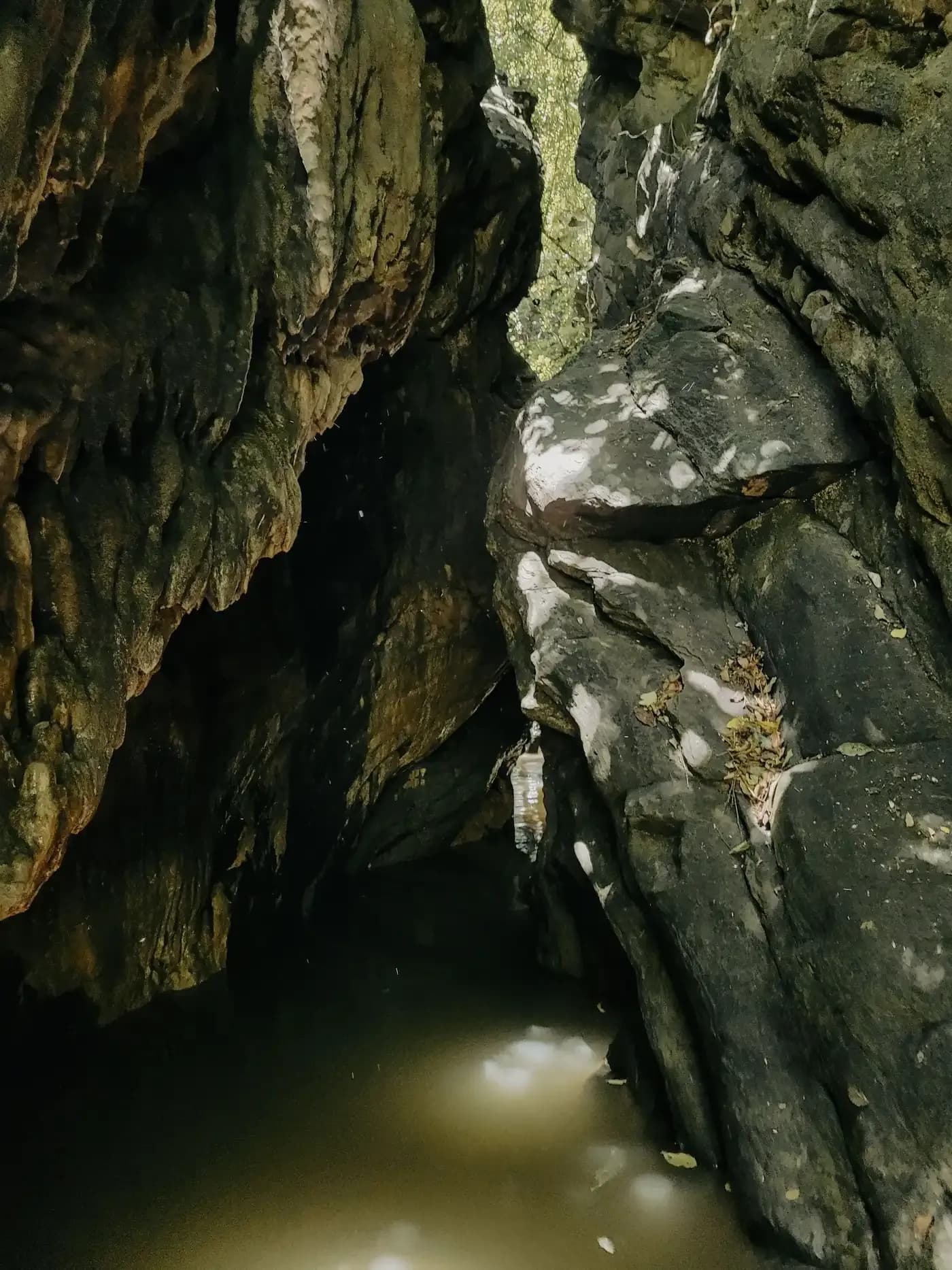 cave pool
